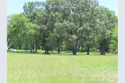 2099 County Road 3420, Leesburg, TX 75451 - Photo 11