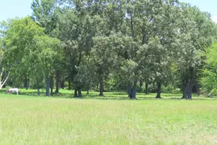 2099 Co Rd 3420, Leesburg, TX 75451 - Photo 11