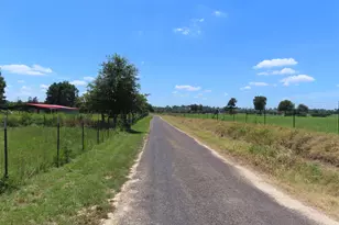2099 Co Rd 3420, Leesburg, TX 75451 - Photo 13