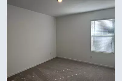 3116 Burmese Street, Providence Village, TX 76227 - Photo 23