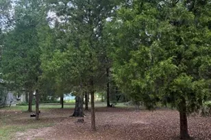 000 Jim Bowie Ln, Log Cabin, TX 75148 - Photo 1