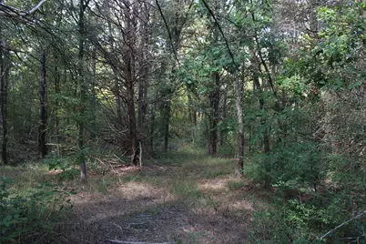 154 Lcr 410 154 Lcr 410, Groesbeck, TX 76642 - Photo 15