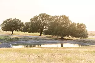 890 N Fm 573, Mullin, TX 76864 - Photo 27