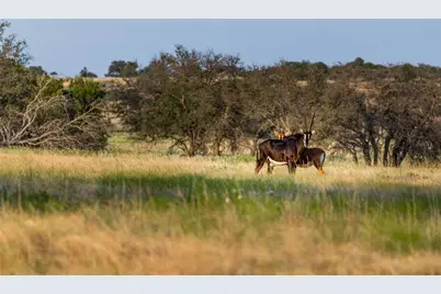 890 N Fm 573, Mullin, TX 76864 - Photo 25