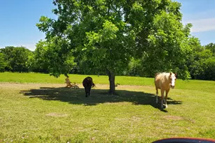 7263 State Hwy 276, Point, TX 75472 - Photo 27