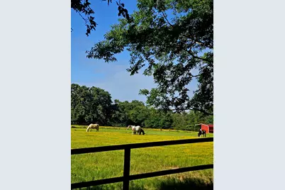 7263 State Highway 276, Point, TX 75472 - Photo 27