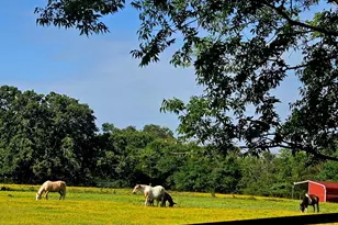7263 State Hwy 276, Point, TX 75472 - Photo 27