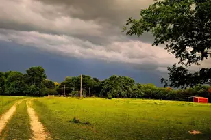 7263 State Hwy 276, Point, TX 75472 - Photo 29