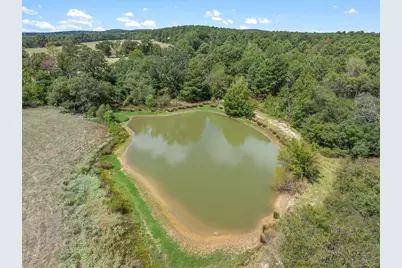 24619 Private Road 8102, Frankston, TX 75763 - Photo 7