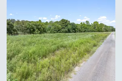 24619 Private Road 8102, Frankston, TX 75763 - Photo 5