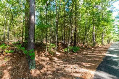 Tbd Fm 2064 N, Troup, TX 75789 - Photo 9