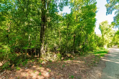 Tbd Fm 2064 N, Troup, TX 75789 - Photo 7