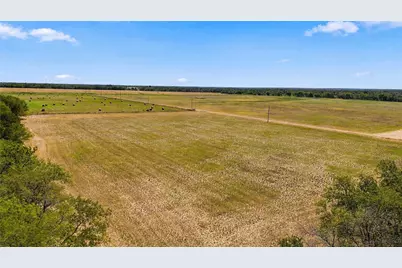 1000 County Road 2120, Cooper, TX 75432 - Photo 13