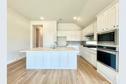 13733 Riola Drive, Little Elm, TX 75068 - Photo 13