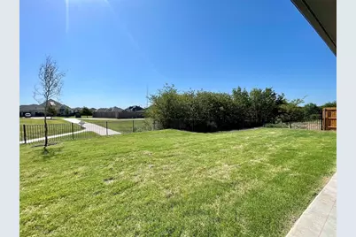 13733 Riola Drive, Little Elm, TX 75068 - Photo 29