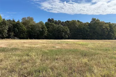 Tbd8 County Road 141, Callisburg, TX 76240 - Photo 3
