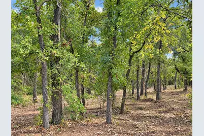 2812 County Road 805B, Keene, TX 76031 - Photo 9