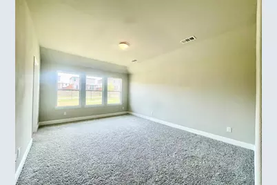 809 Tartane Drive, Anna, TX 75409 - Photo 15