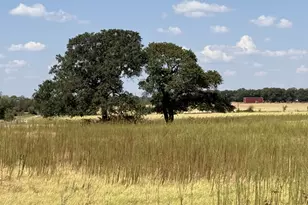 986 Co Rd 1785, Sunset, TX 76270 - Photo 11