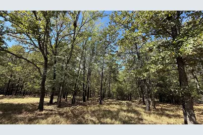 Lot 22 Loper Circle, Streetman, TX 75859 - Photo 15