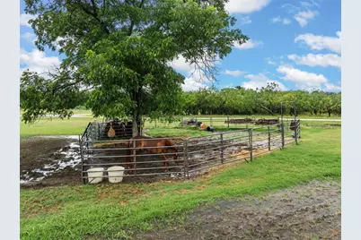 2851 Fm 339, Mount Calm, TX 76673 - Photo 27