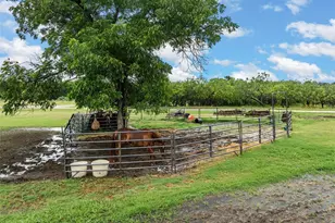 2851 Fm 339, Mount Calm, TX 76673 - Photo 27