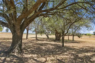 100 Shadle Ridge Court, Poolville, TX 76487 - Photo 35