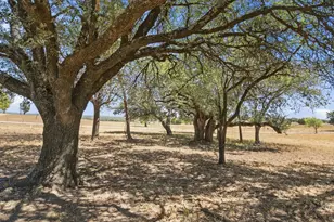 100 Shadle Ridge Ct, Poolville, TX 76487 - Photo 35