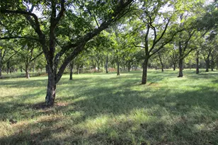 160 Rains County Road 2181, Emory, TX 75440 - Photo 1