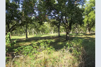 160 Rains County Road 2181, Emory, TX 75440 - Photo 5
