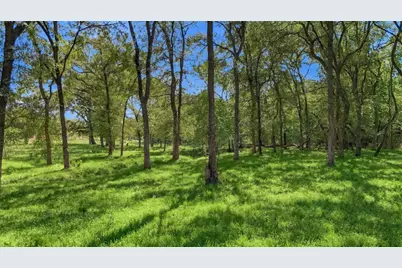 000 Cr 1245, Savoy, TX 75479 - Photo 5