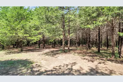 1011 Sister Grove Road, Van Alstyne, TX 75495 - Photo 31