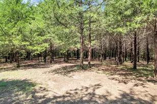 1011 Sister Grove Rd, Van Alstyne, TX 75495 - Photo 31