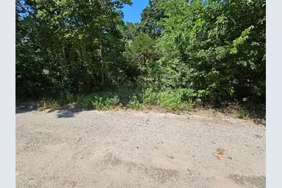 Lot 2 Bird Hill Drive, Quinlan, TX 75474 - Photo 3