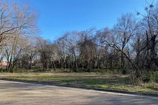 Tbd W Tyler St, Athens, TX 75751 - Photo 1
