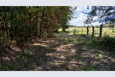 000 Fm-317, Brownsboro, TX 75756 - Photo 15