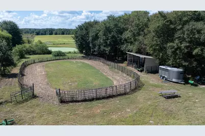 000 Fm-317, Brownsboro, TX 75756 - Photo 5