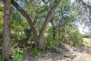 20608 Live Oak St, Leander, TX 78641 - Photo 35