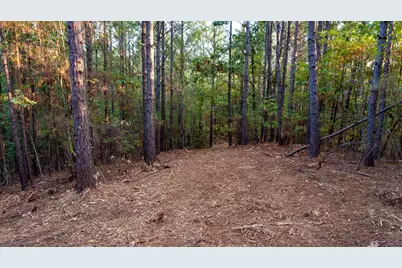 Tbd Fm 2015, Tyler, TX 75708 - Photo 17
