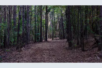 Tbd Fm 2015, Tyler, TX 75708 - Photo 33