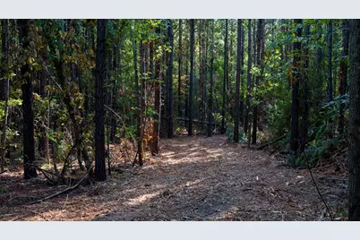 Tbd Fm 2015, Tyler, TX 75708 - Photo 29
