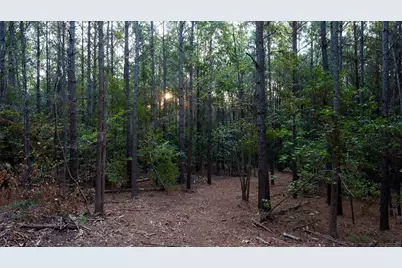 Tbd Fm 2015, Tyler, TX 75708 - Photo 11