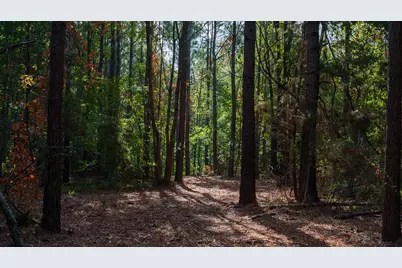 Tbd Fm 2015, Tyler, TX 75708 - Photo 31