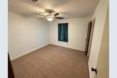 225 Elizabeth Lane, Blossom, TX 75416 - Photo 13