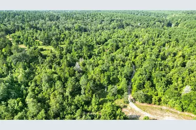 102 Private Road 3174, Gilmer, TX 75644 - Photo 29