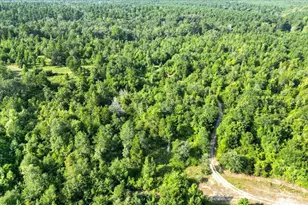 102 Private Rd 3174, Gilmer, TX 75644 - Photo 29