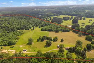 102 Private Rd 3174, Gilmer, TX 75644 - Photo 27