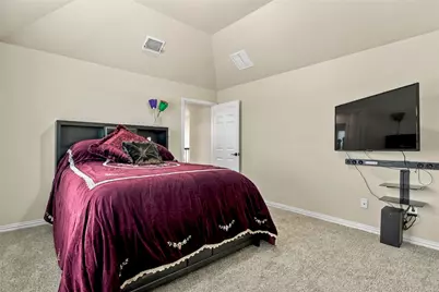 2431 Lusitano Lane, Celina, TX 75009 - Photo 23