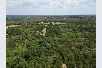 85 Ac County Road 1019, Celeste, TX 75423 - Photo 3