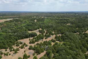 85 Ac County Road 1019, Celeste, TX 75423 - Photo 1